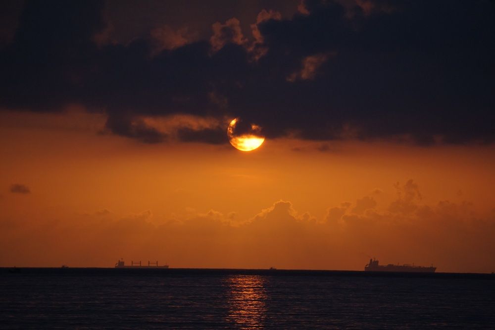 Фотография автора Pavitra Shettigar