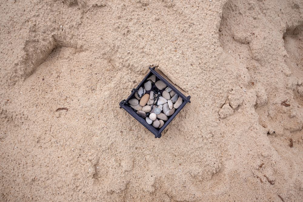 Фотография автора Александра Глубокова