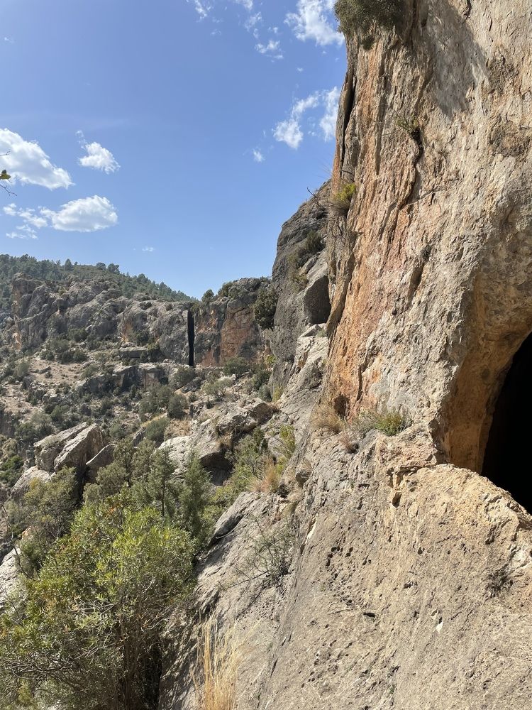 Фотография автора Ольга Катаргина