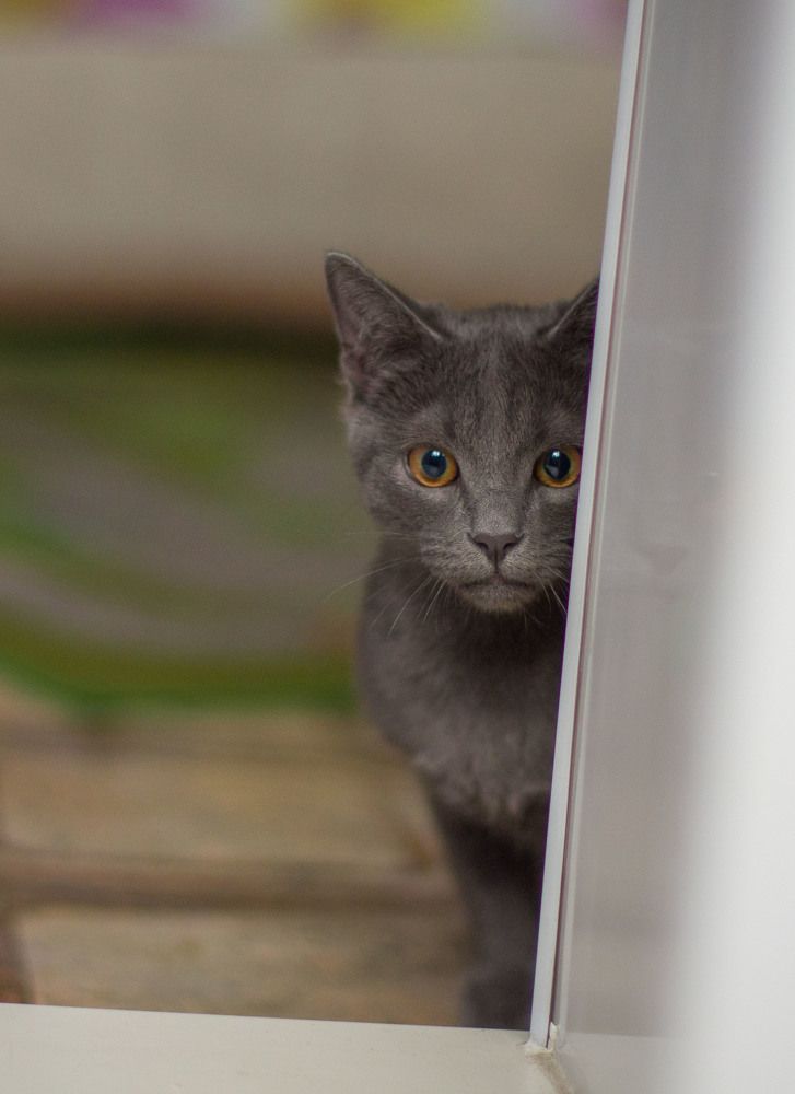 Photograph by Елена Троянская