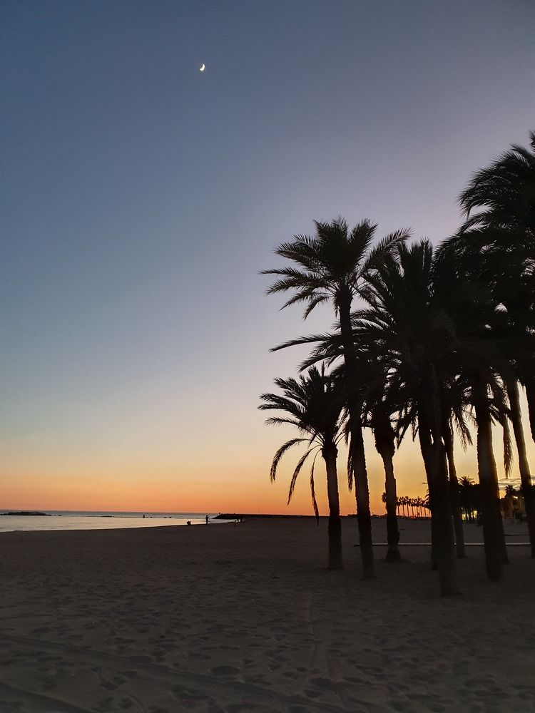 Фотография автора Ольга Катаргина