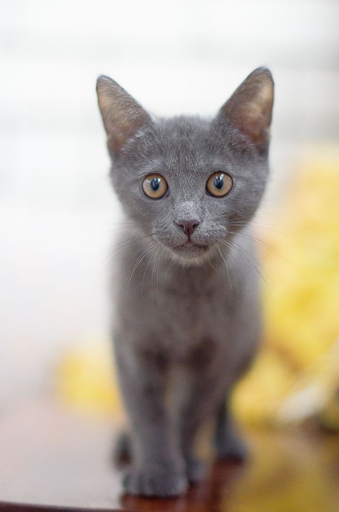 Photograph by Елена Троянская