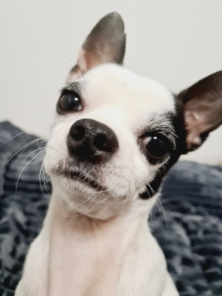 Фотография автора Александра Глубокова