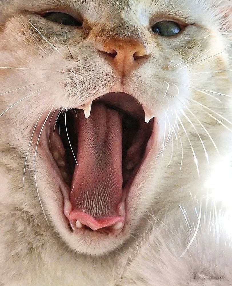 Photograph by Manuel Palma