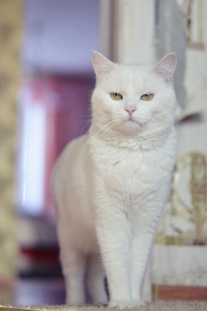 Photograph by Елена Троянская