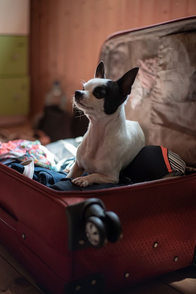 Фотография автора Александра Глубокова