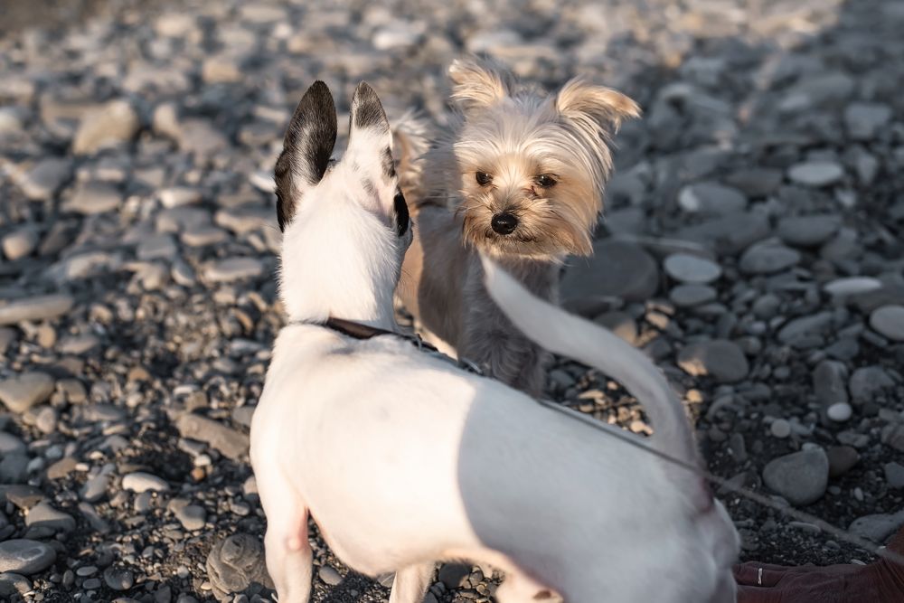 Фотография автора Александра Глубокова