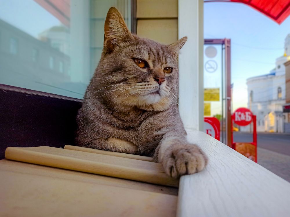 Photograph by Елена Малютина