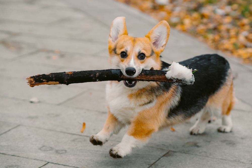 Photograph by Антон Вотяков