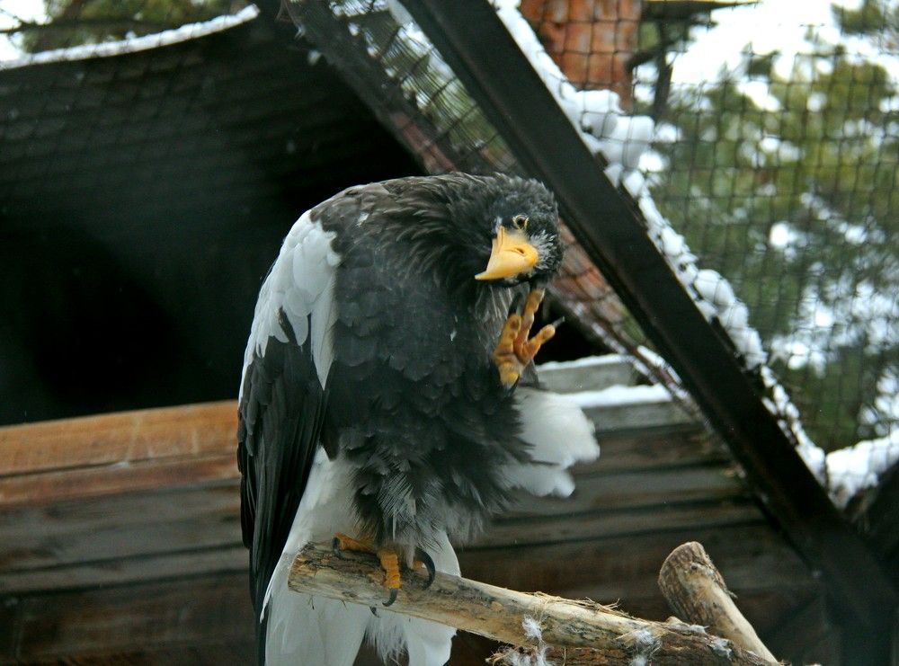 Photograph by Наталья Адалинская