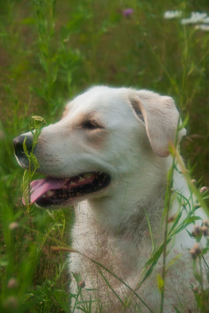 Photograph by Андрей Трякин