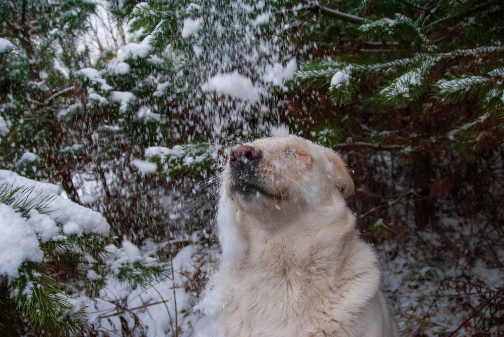 Photograph by Андрей Трякин