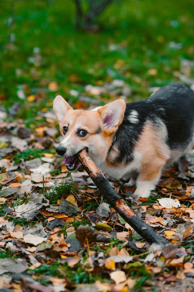 Photograph by Антон Вотяков