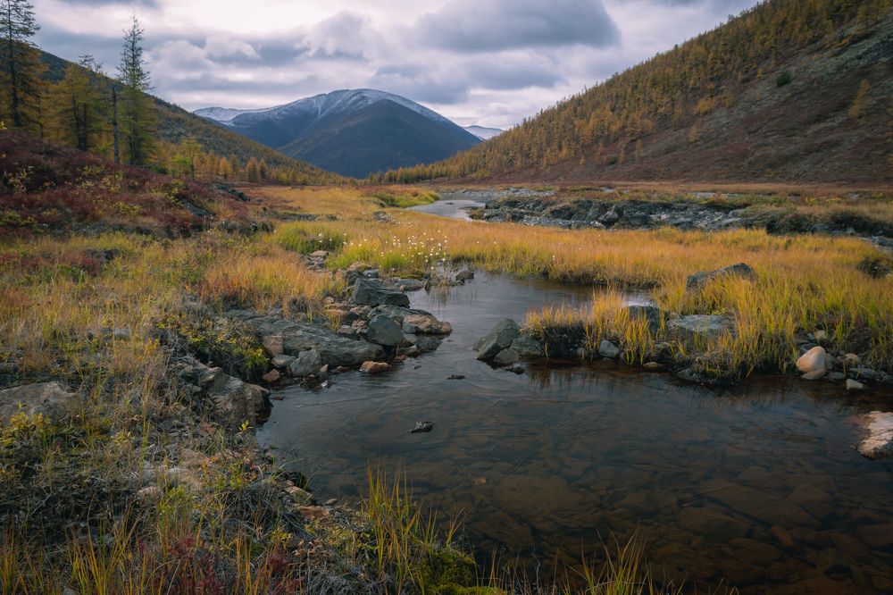 Поздняя осень
