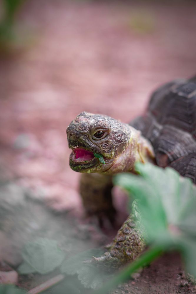 Photograph by Erfan Jahanbazi