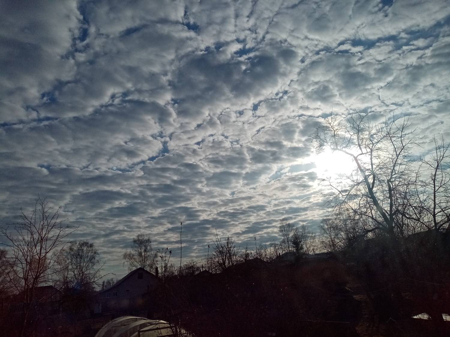 Photo #9814198