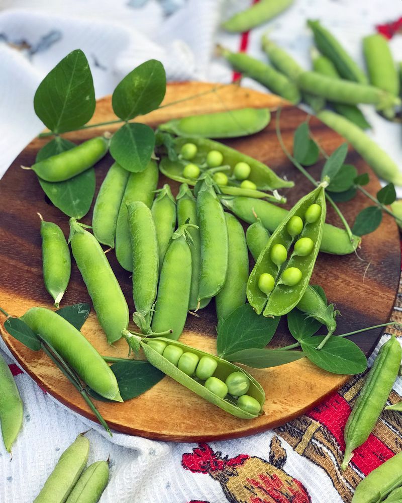 Photograph by Татьяна Волохова