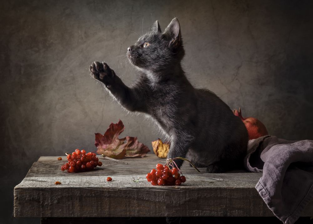 Photograph by Ирина Толокновская