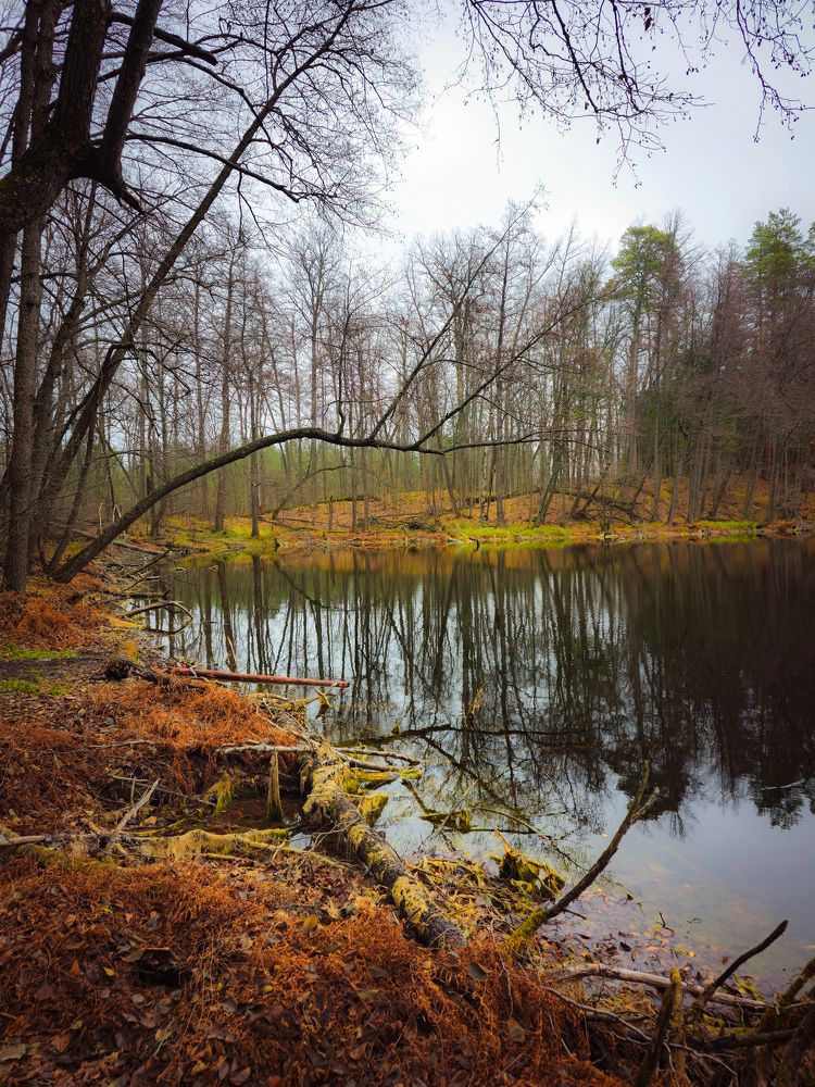 Photograph by Sergey Stepanenko