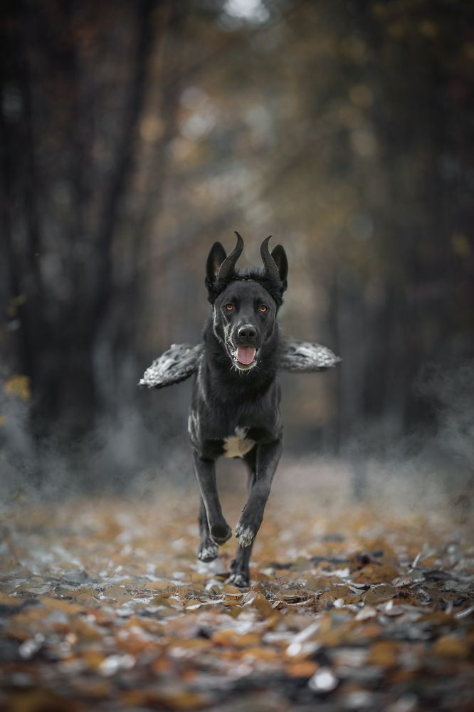 Photograph by Мария Романова