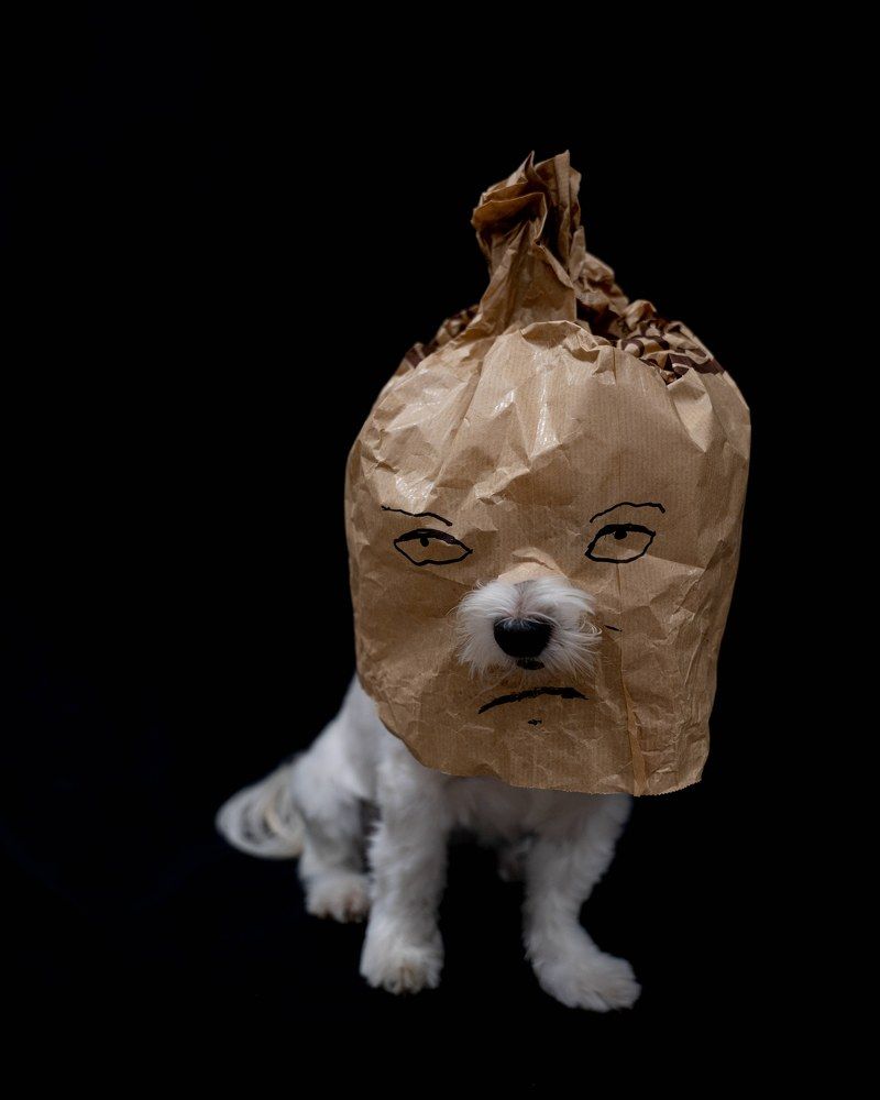 Photograph by Alicia Mata