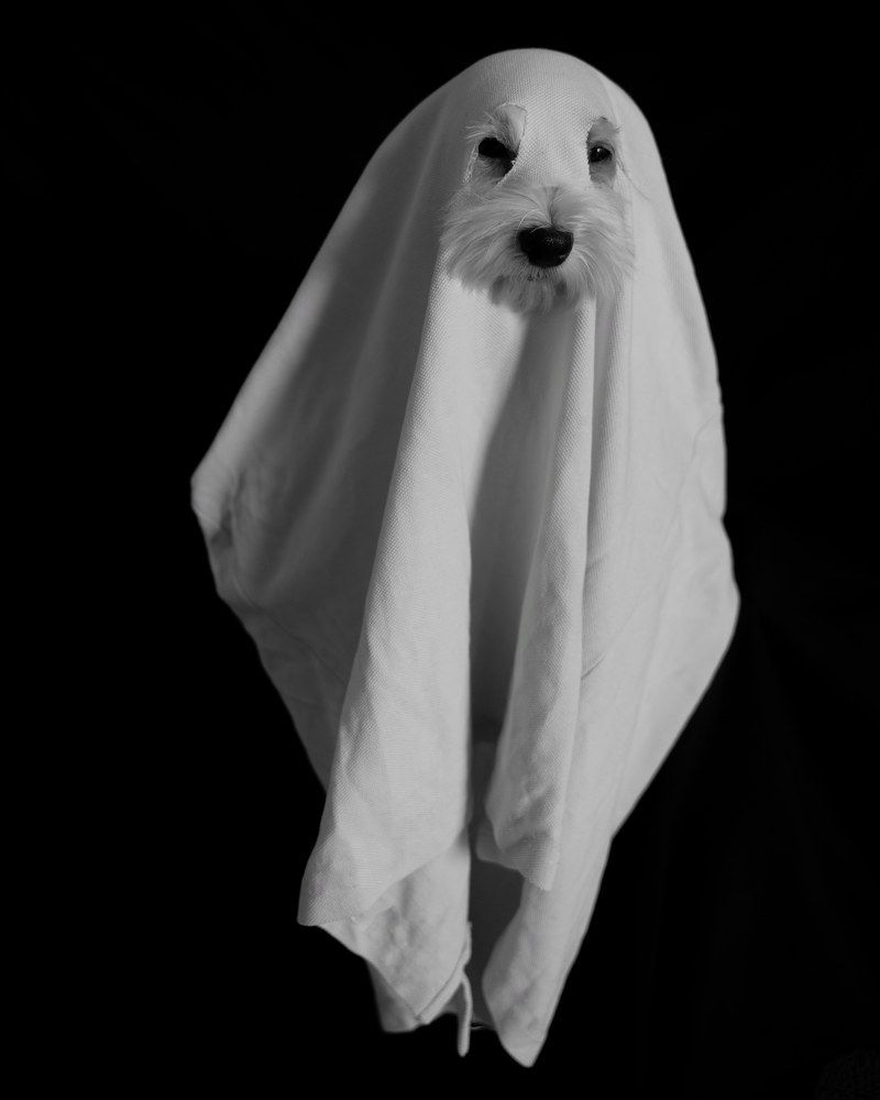 Photograph by Alicia Mata