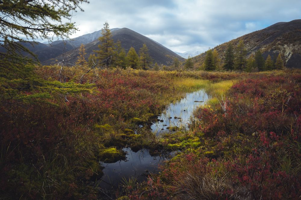 Тёмные воды