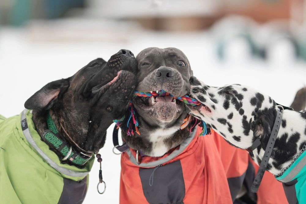 Photograph by Мария Романова