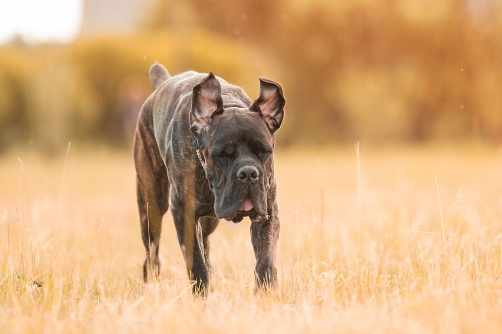 Photograph by Мария Романова