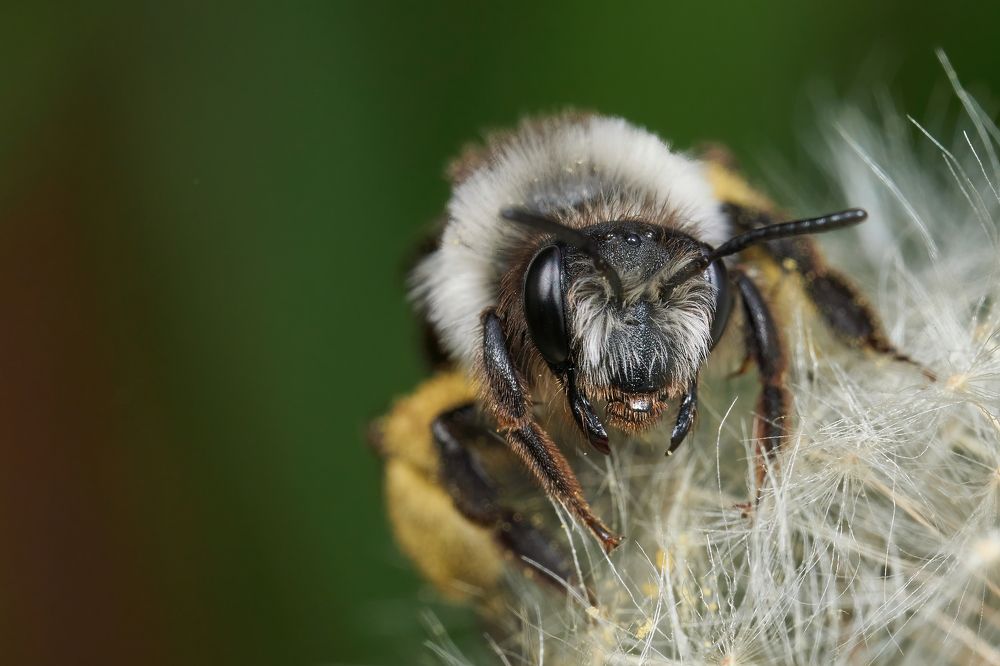 Photograph by Wener 2303