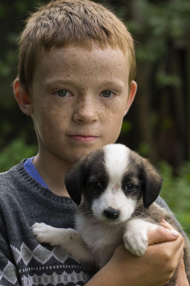 Photograph by Дарья Ващенко-Панкина