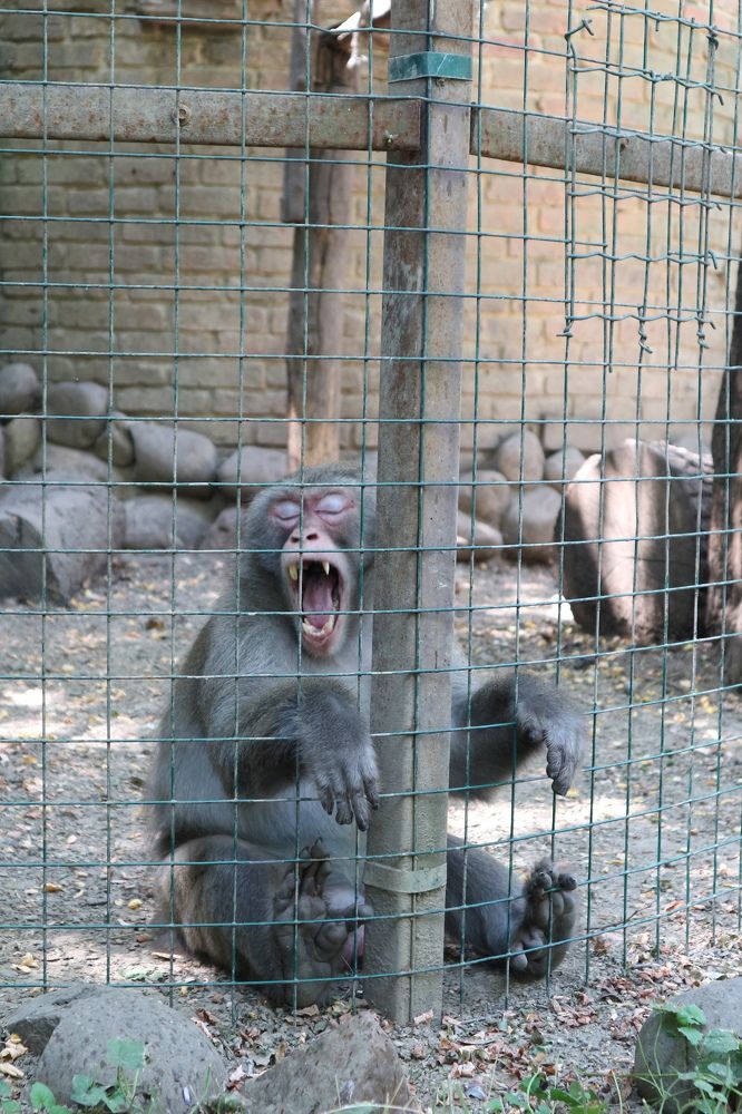 Photograph by Aleksey Maevskiy