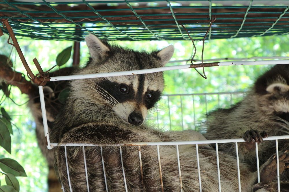 Photograph by Aleksey Maevskiy