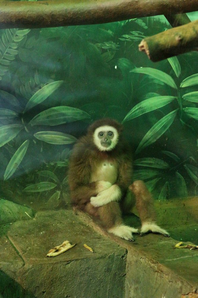 Photograph by Aleksey Maevskiy