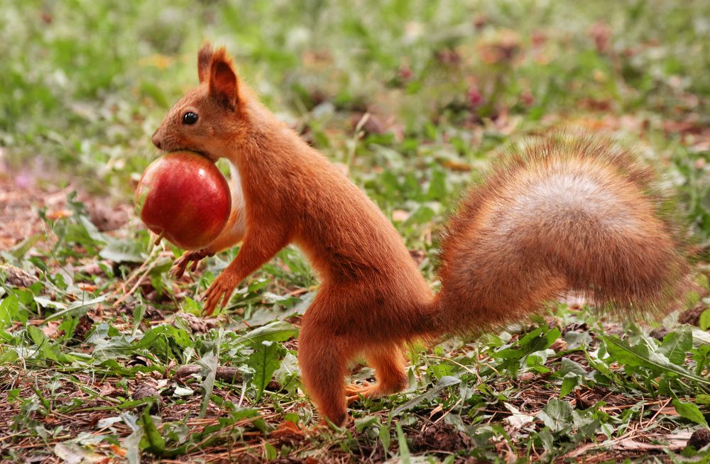 Photograph by Наталья Зверева