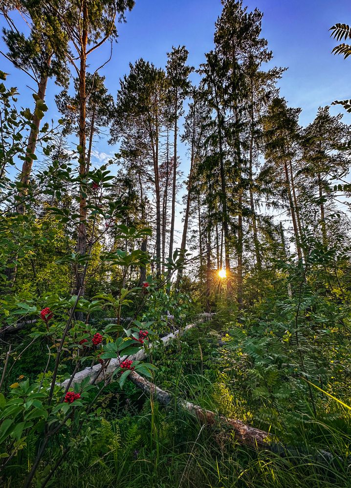 Фотография автора Алексей Звягинцев