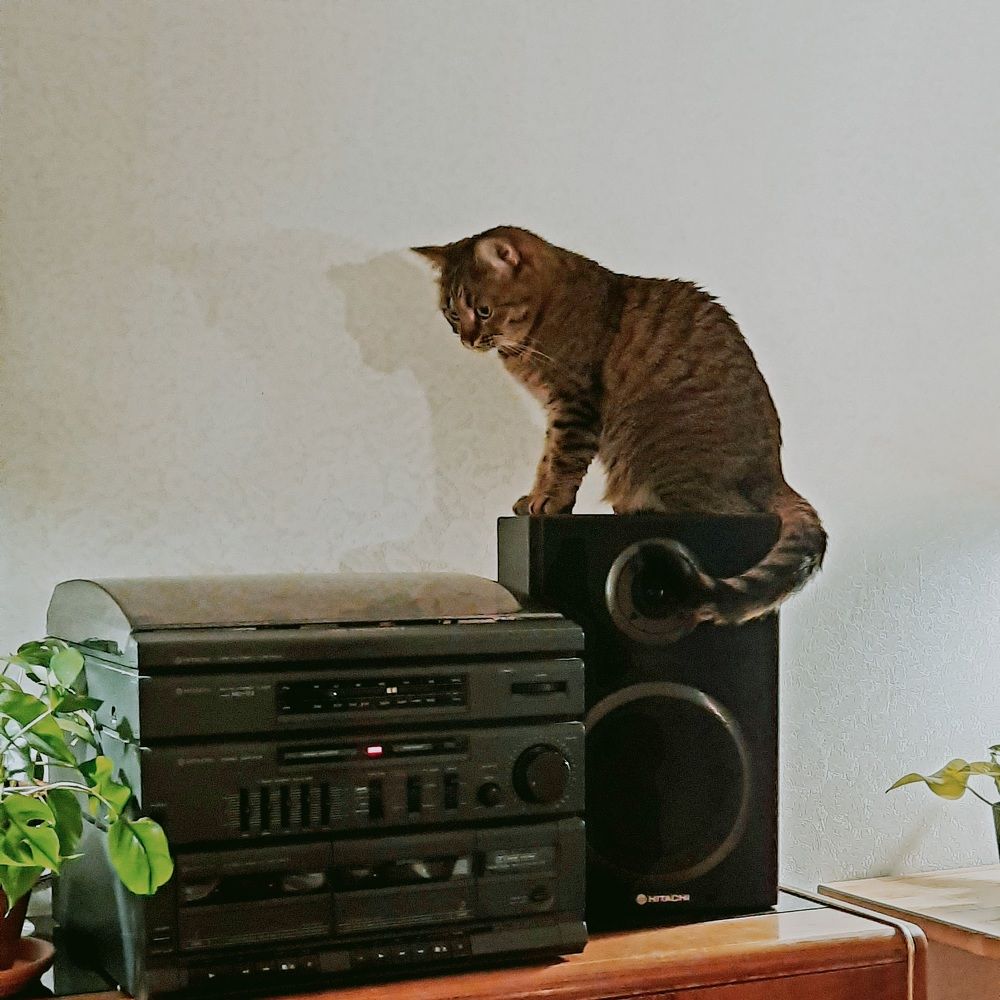 Photograph by Елена Симонова