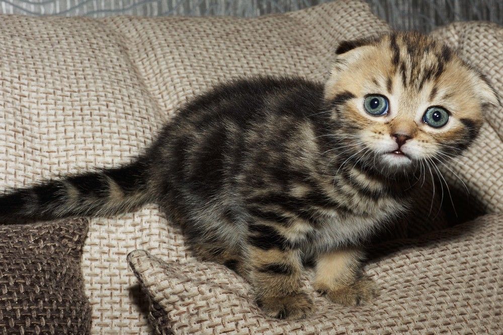 Photograph by Ольга Дой