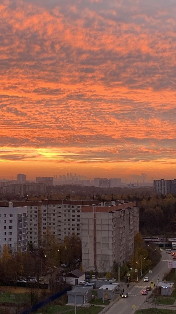 Оранжевое утро