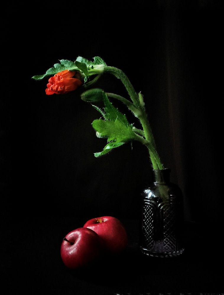 Photograph by Александра