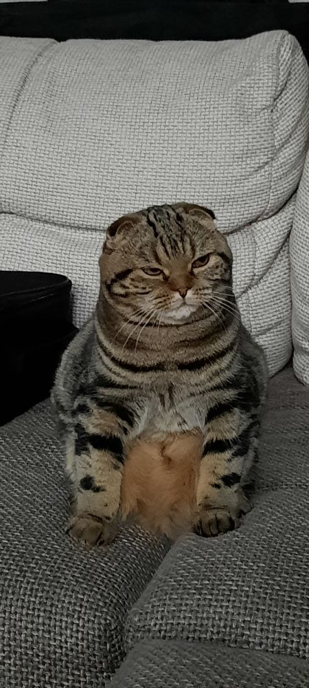 Photograph by Ольга Дой