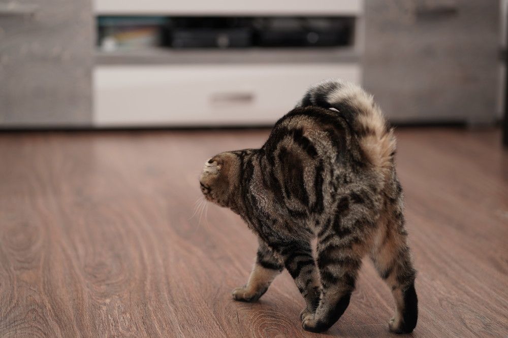 Photograph by Ольга Дой