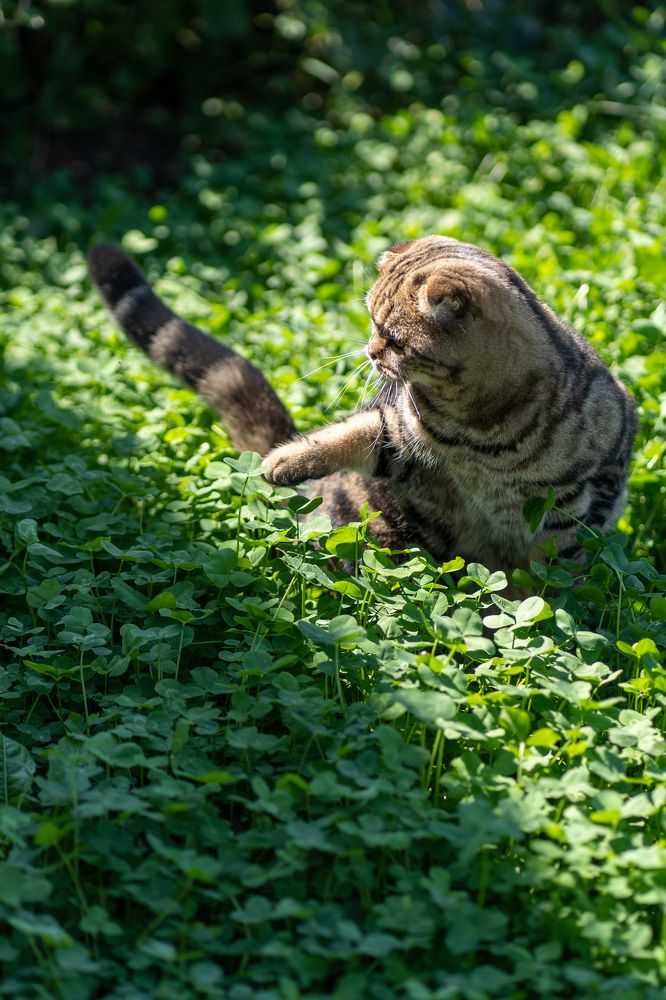 Photograph by Ольга Дой