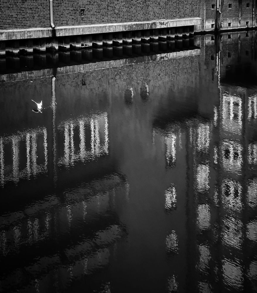 Photograph by Namrata Vedi