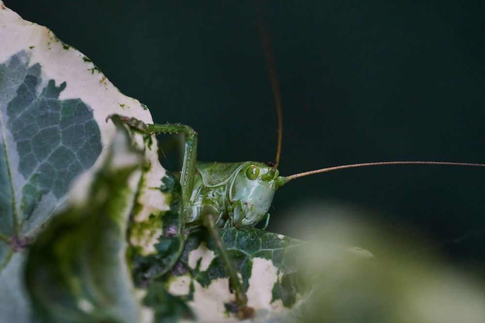 Photograph by Wener 2303