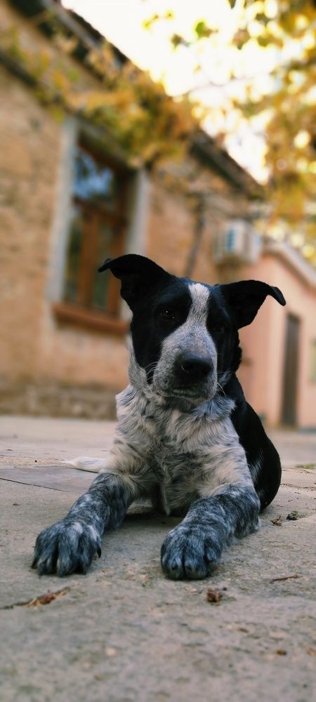 Photograph by Татьяна Стаскевич