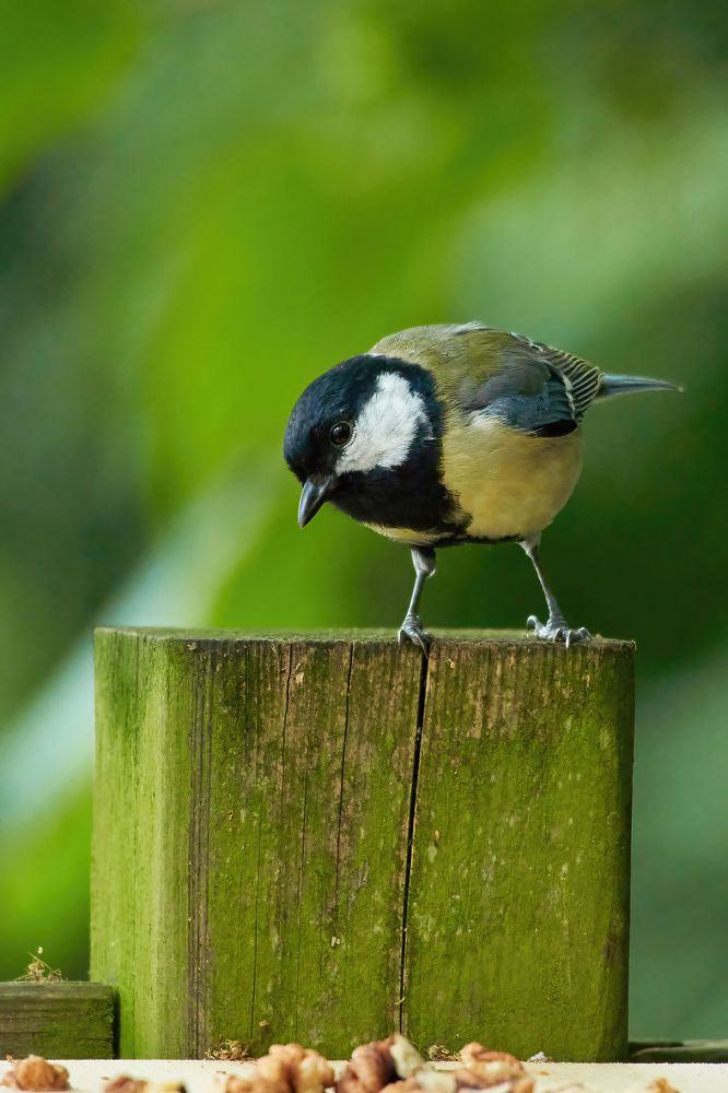 Photograph by Wener 2303