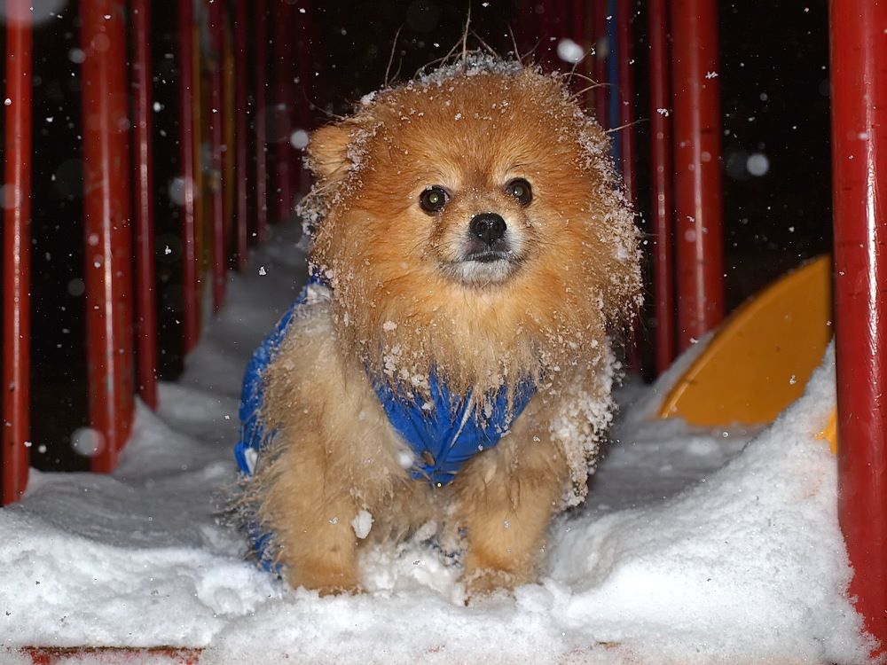 Photograph by Игорь Чеботарёв