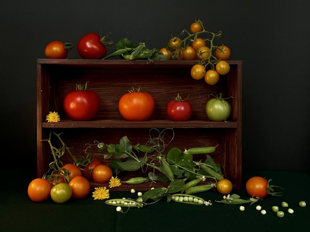 Фотография автора Рамзия Хисамутдинова