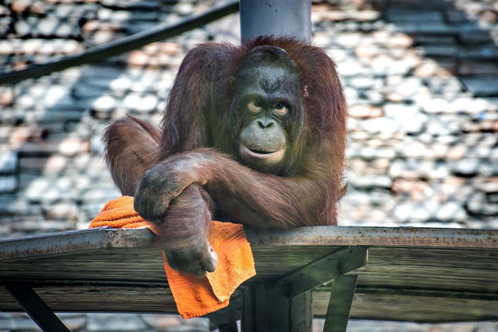 Photograph by Денис Винокуров